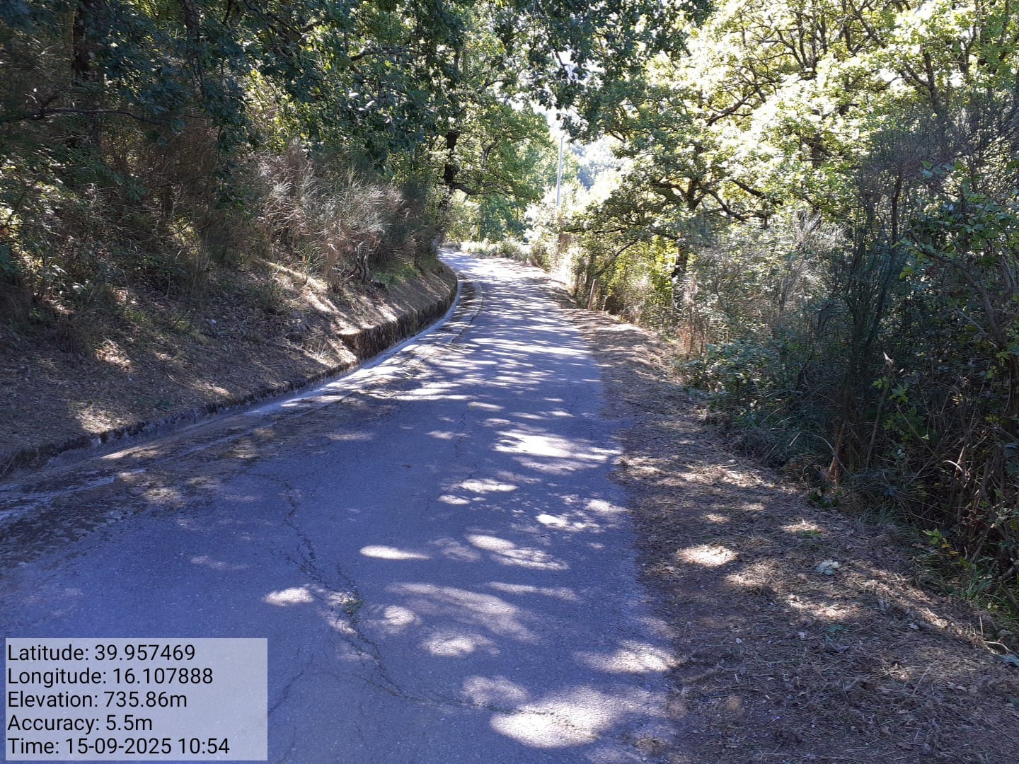 Galleria Fotografica Immagine