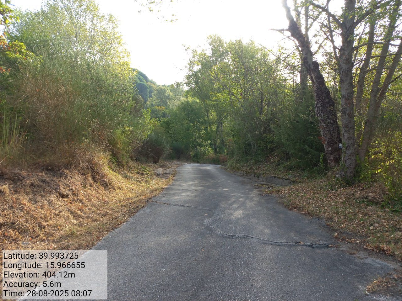 Galleria Fotografica Immagine