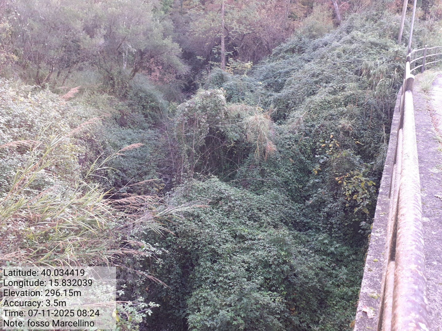 Galleria Fotografica Immagine