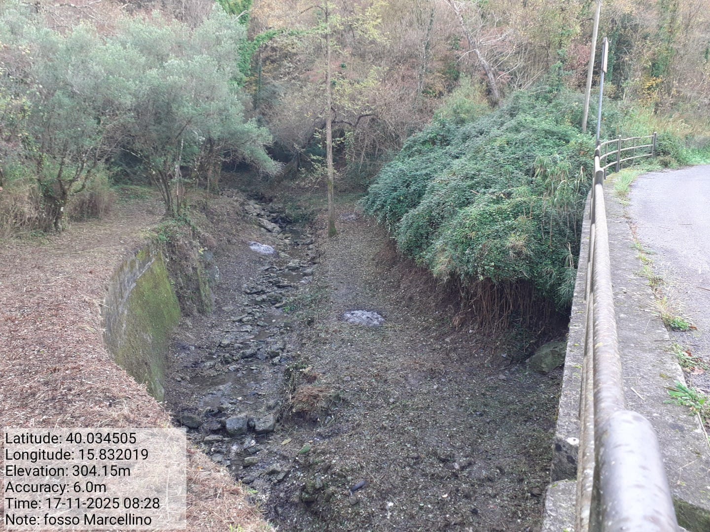 Galleria Fotografica Immagine