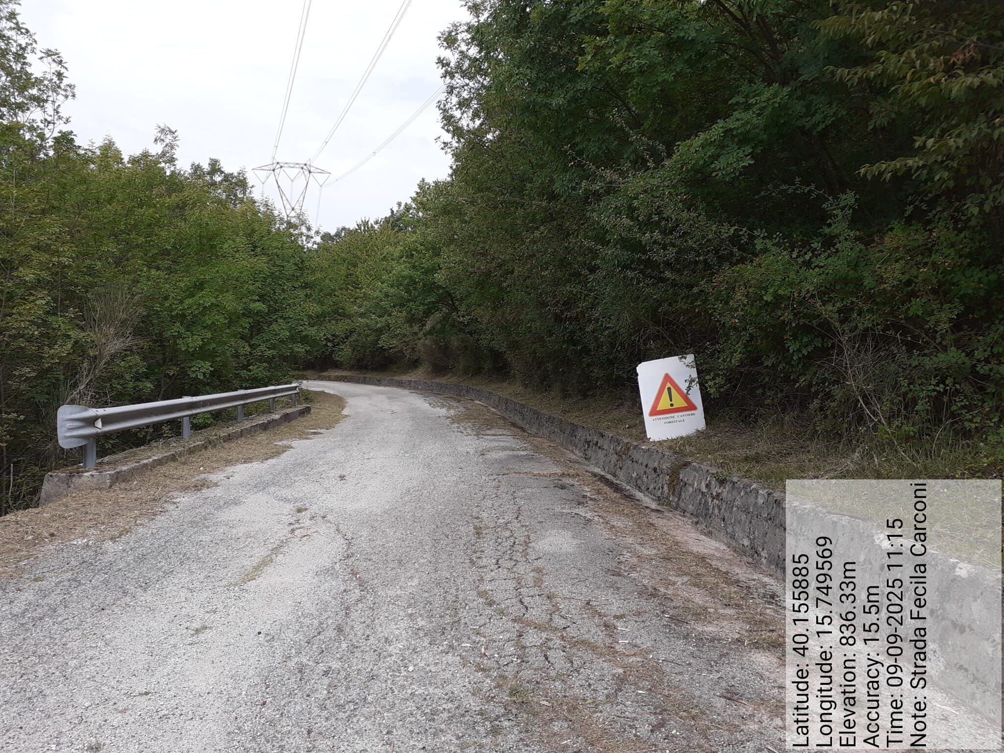 Galleria Fotografica Immagine