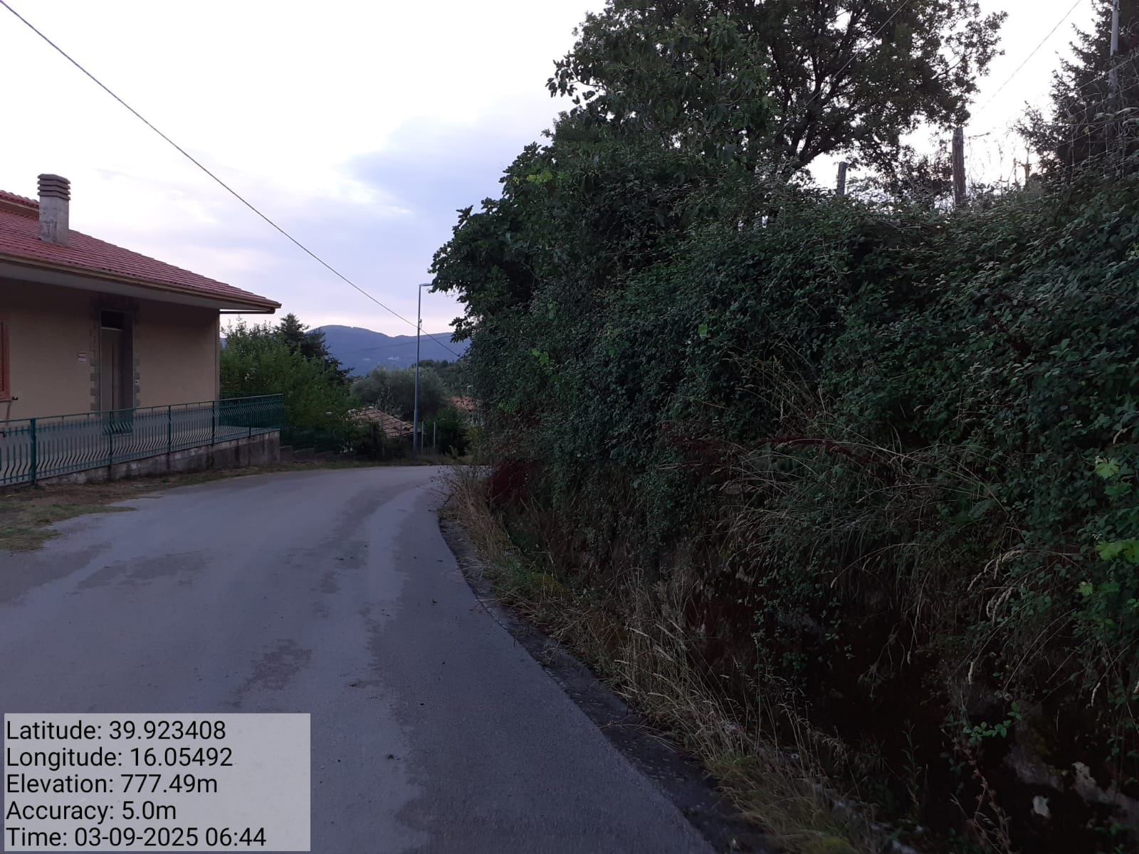 Galleria Fotografica Immagine