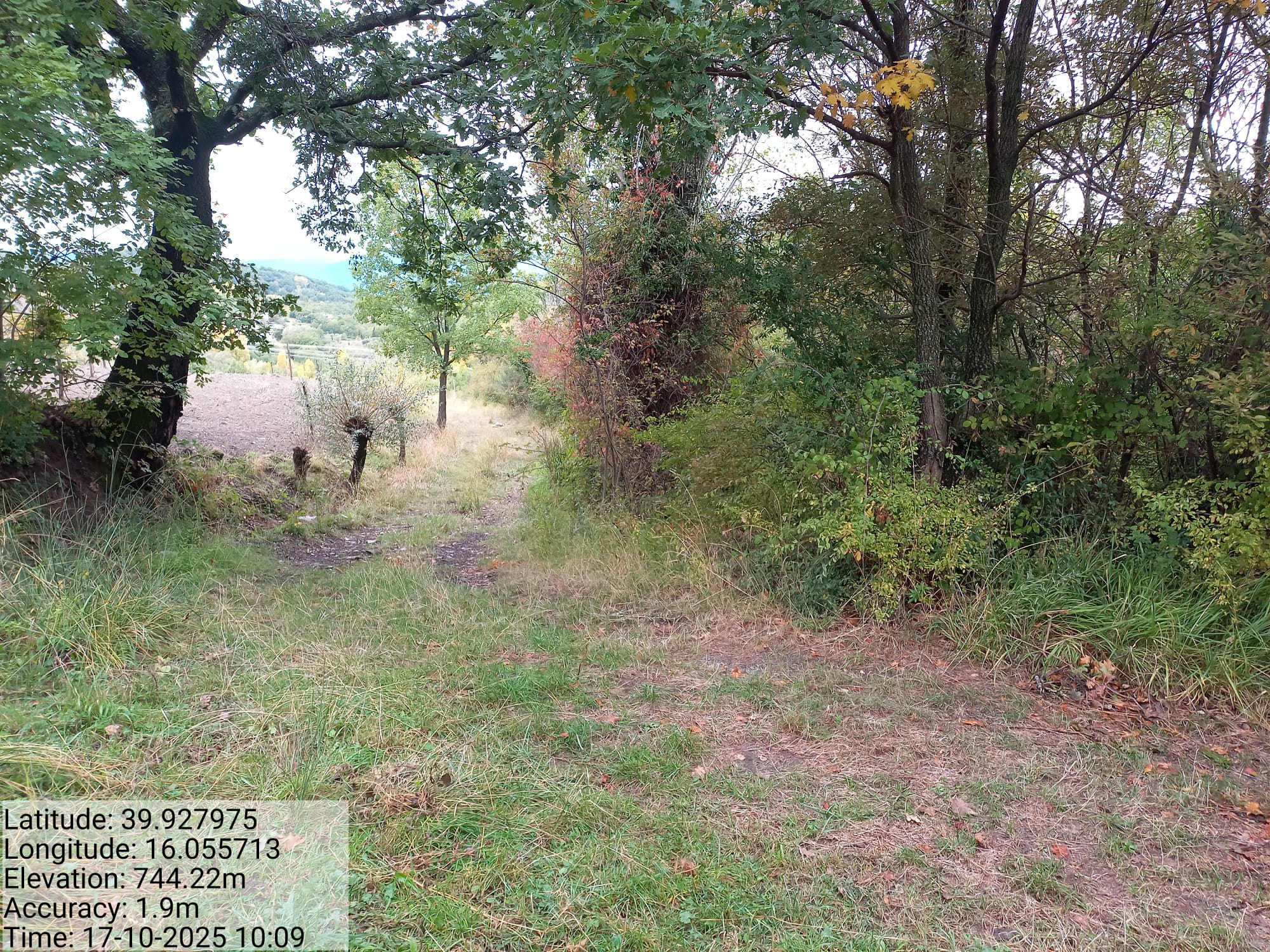 Galleria Fotografica Immagine