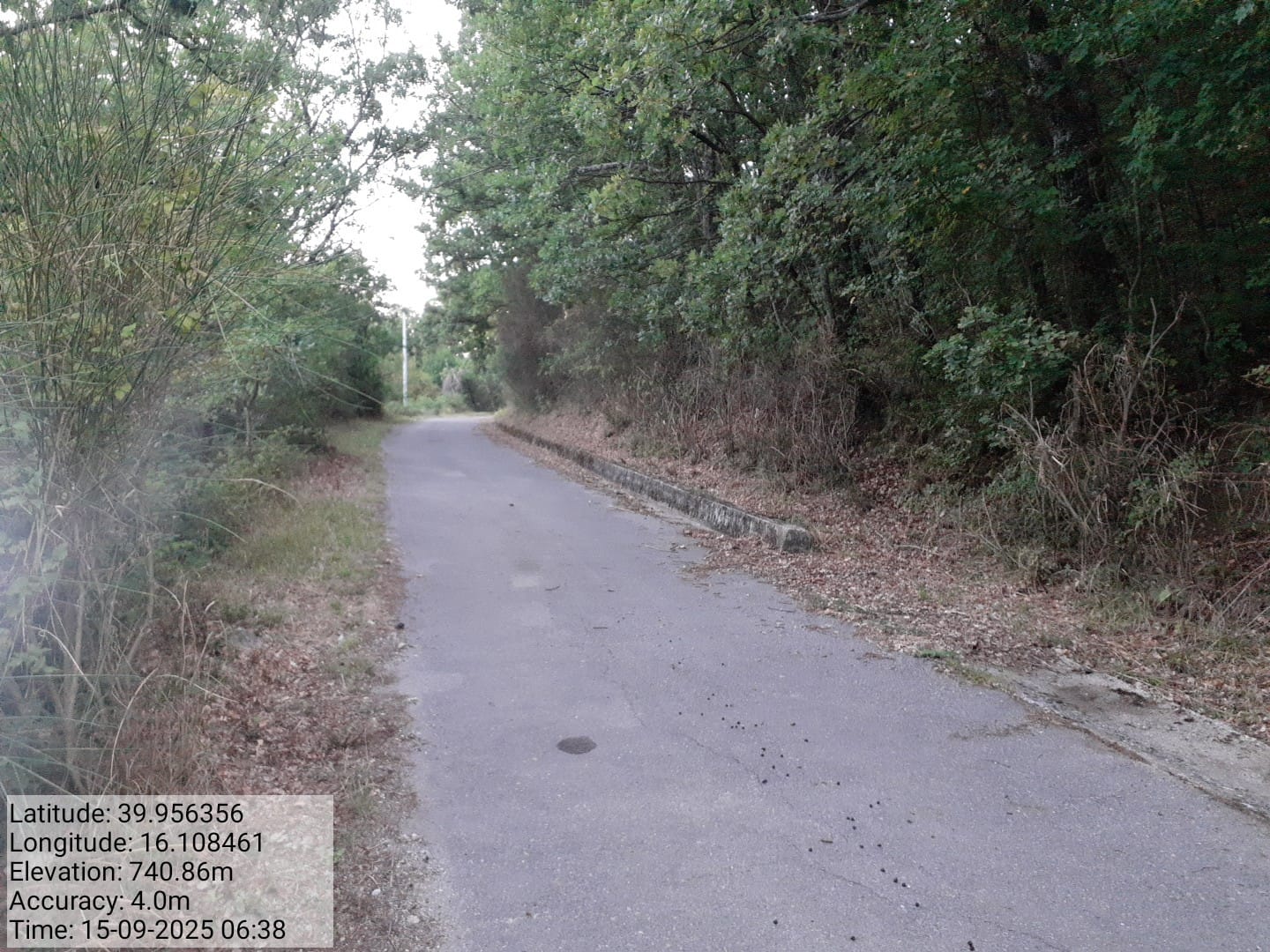 Galleria Fotografica Immagine