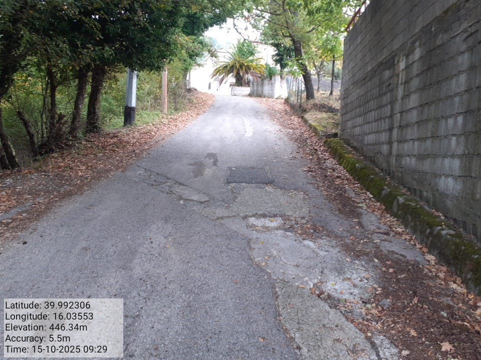 Galleria Fotografica Immagine