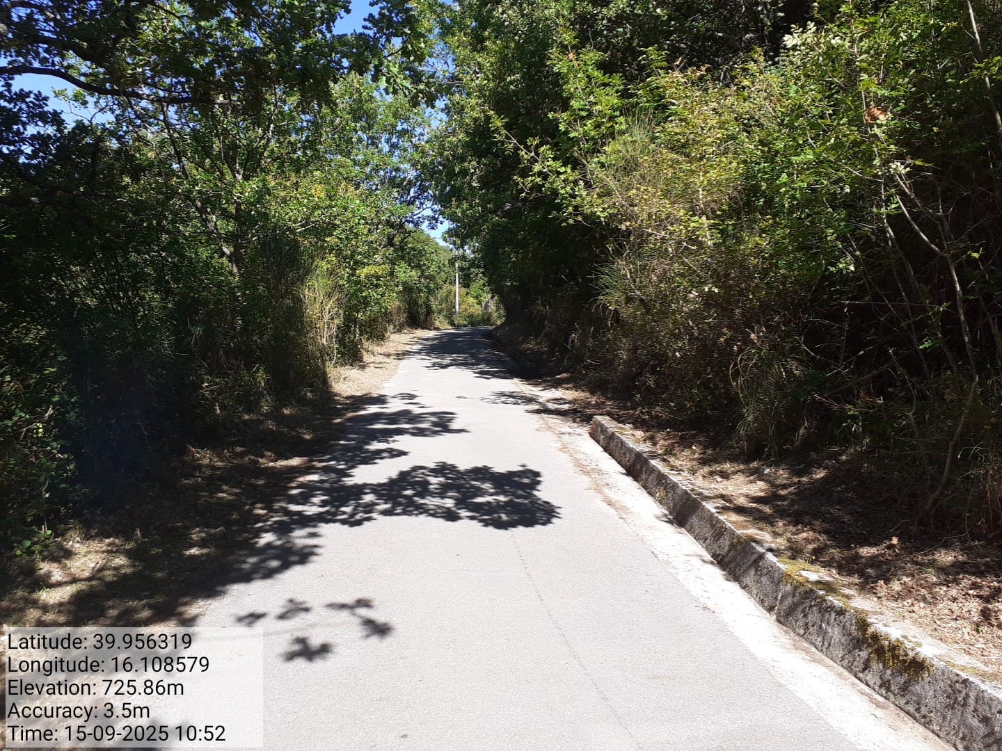 Galleria Fotografica Immagine