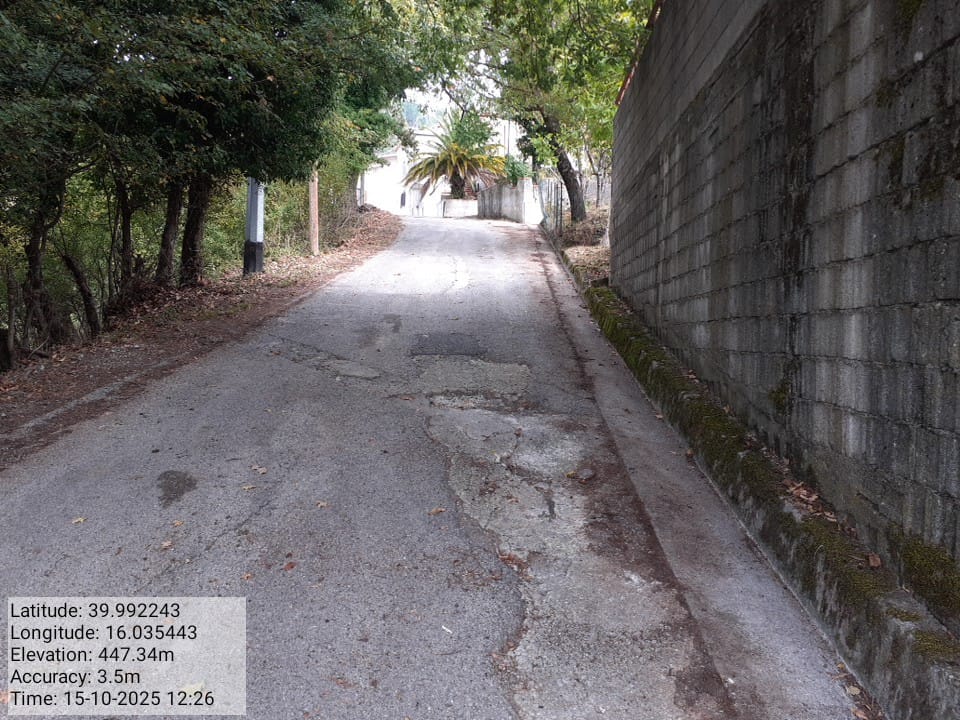 Galleria Fotografica Immagine