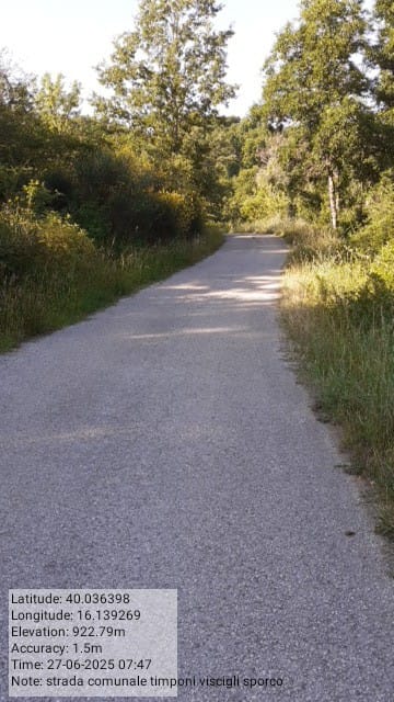 Galleria Fotografica Immagine