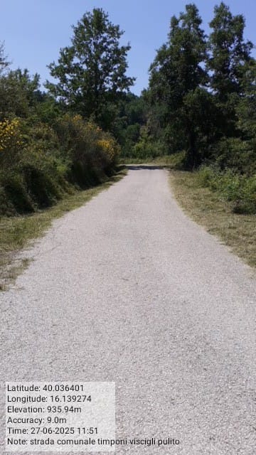 Galleria Fotografica Immagine