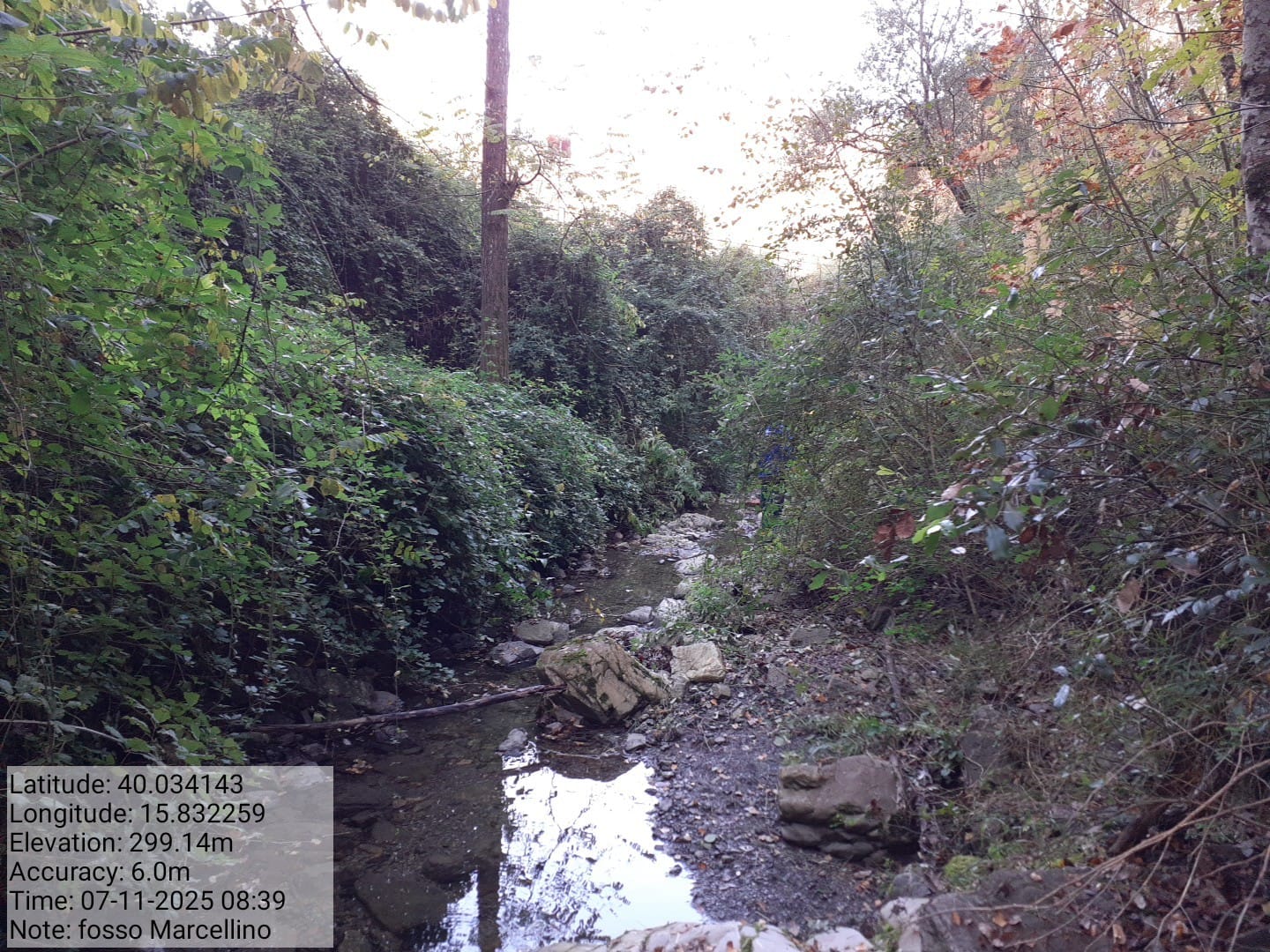 Galleria Fotografica Immagine