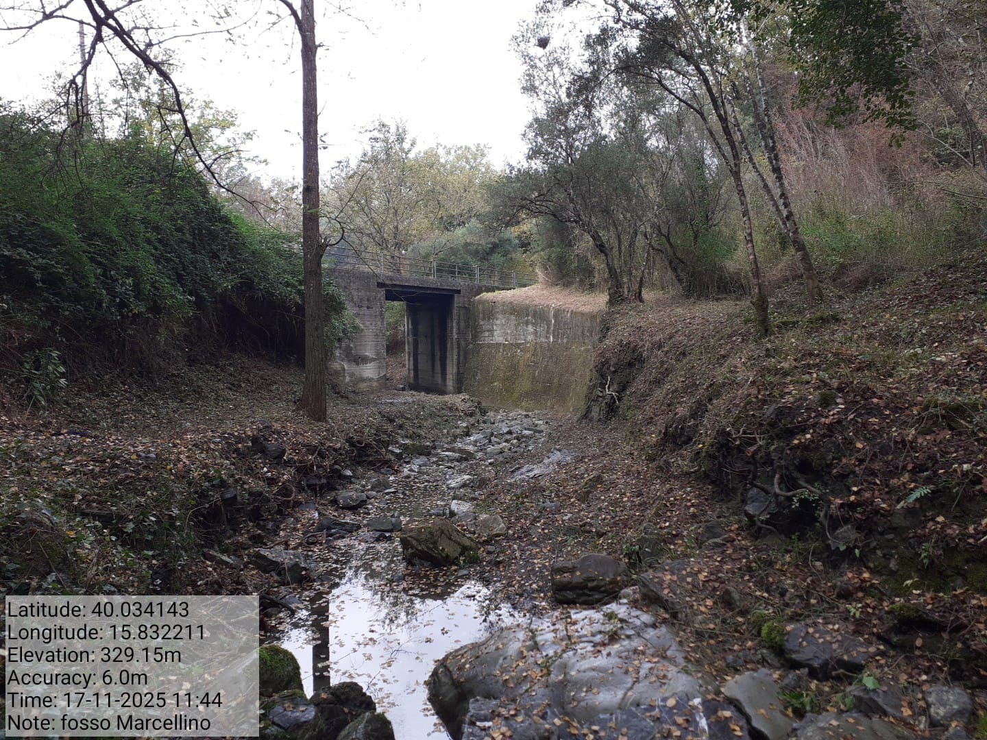 Galleria Fotografica Immagine