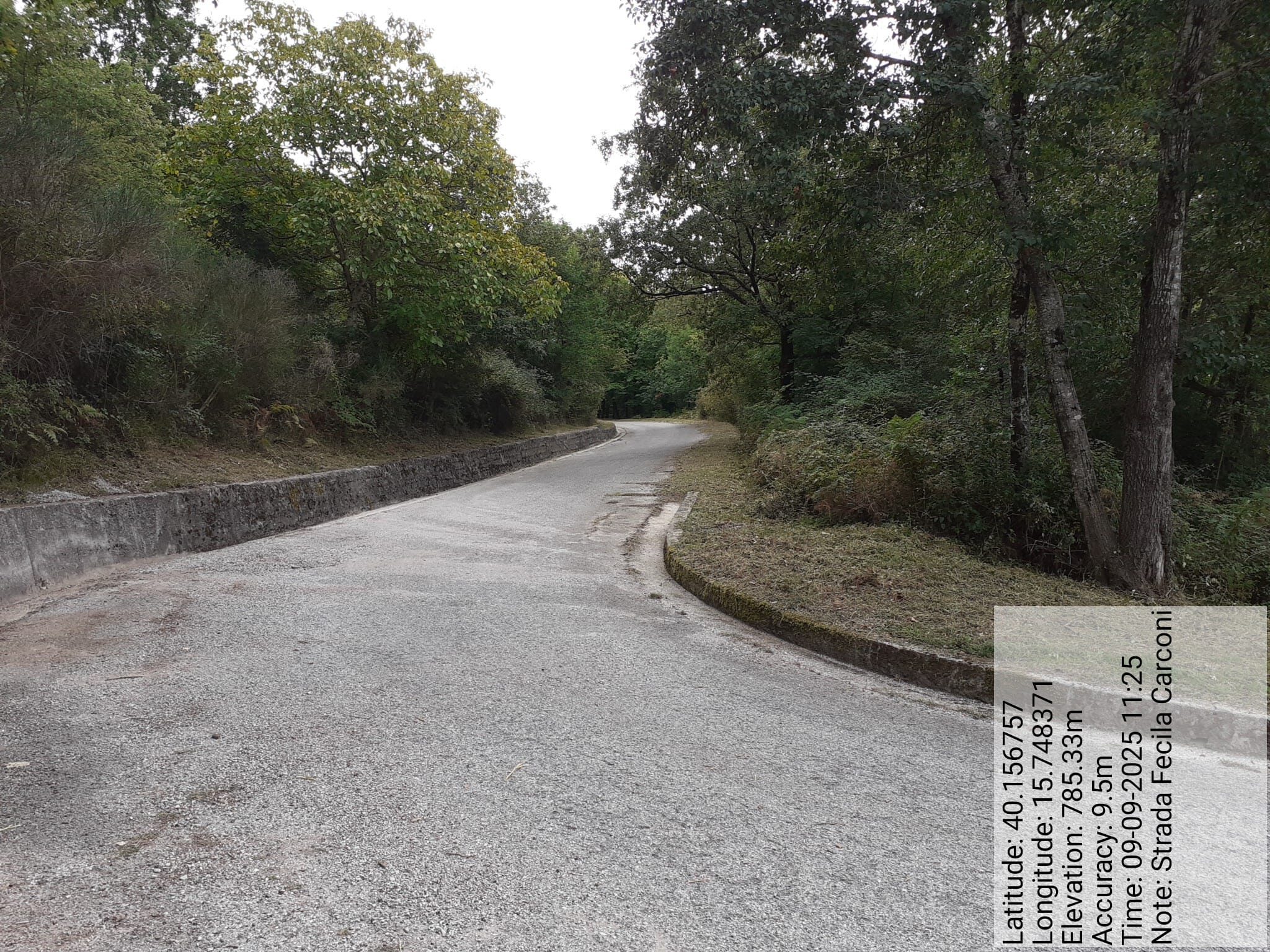 Galleria Fotografica Immagine