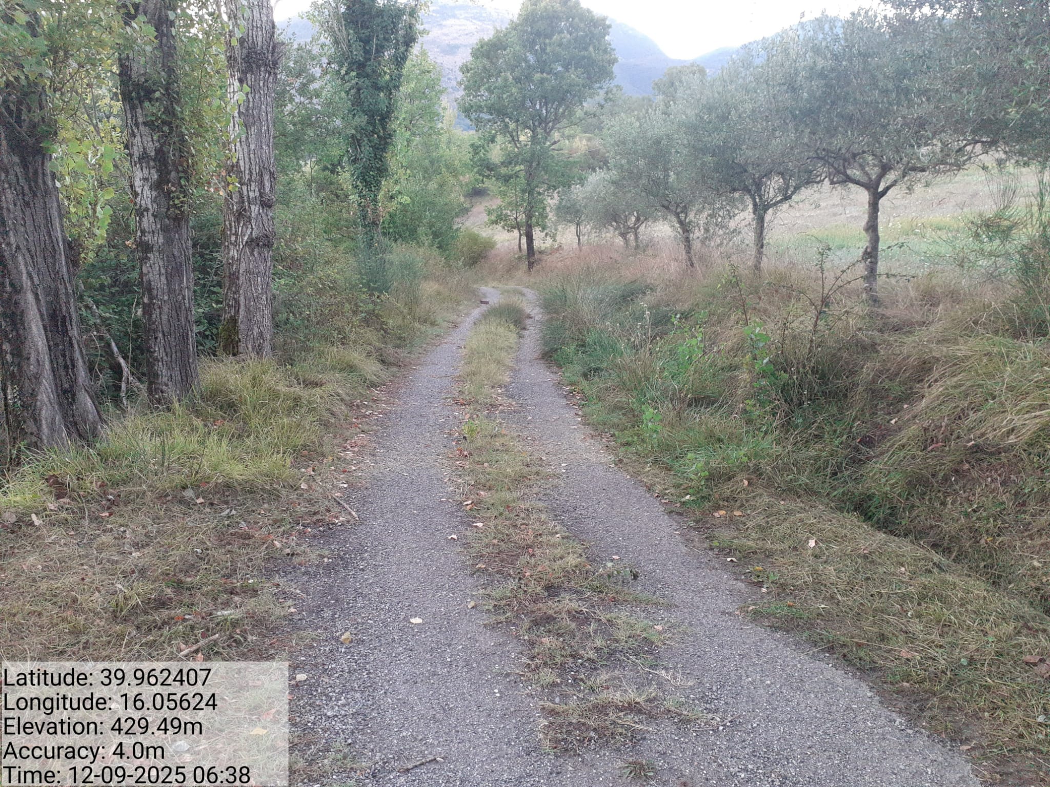 Galleria Fotografica Immagine