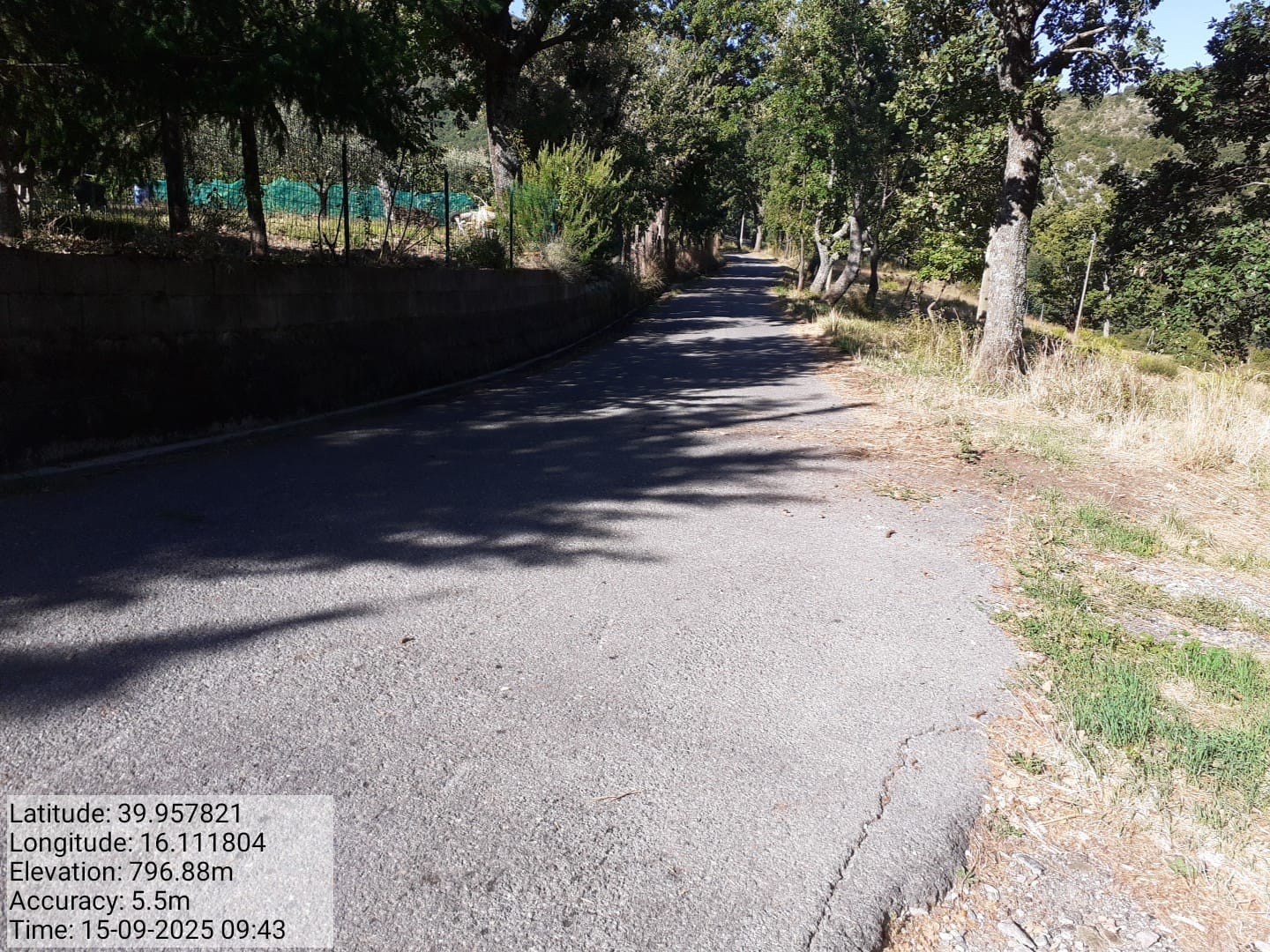 Galleria Fotografica Immagine