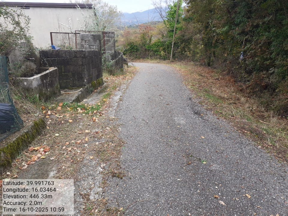 Galleria Fotografica Immagine