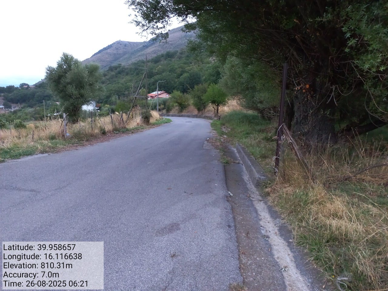 Galleria Fotografica Immagine