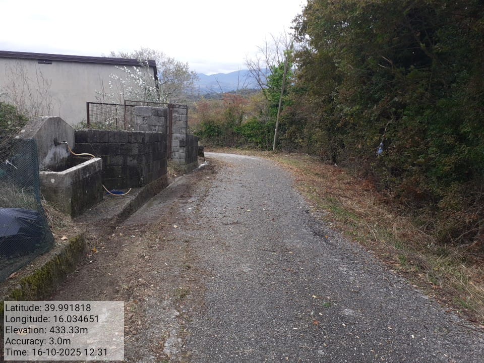 Galleria Fotografica Immagine