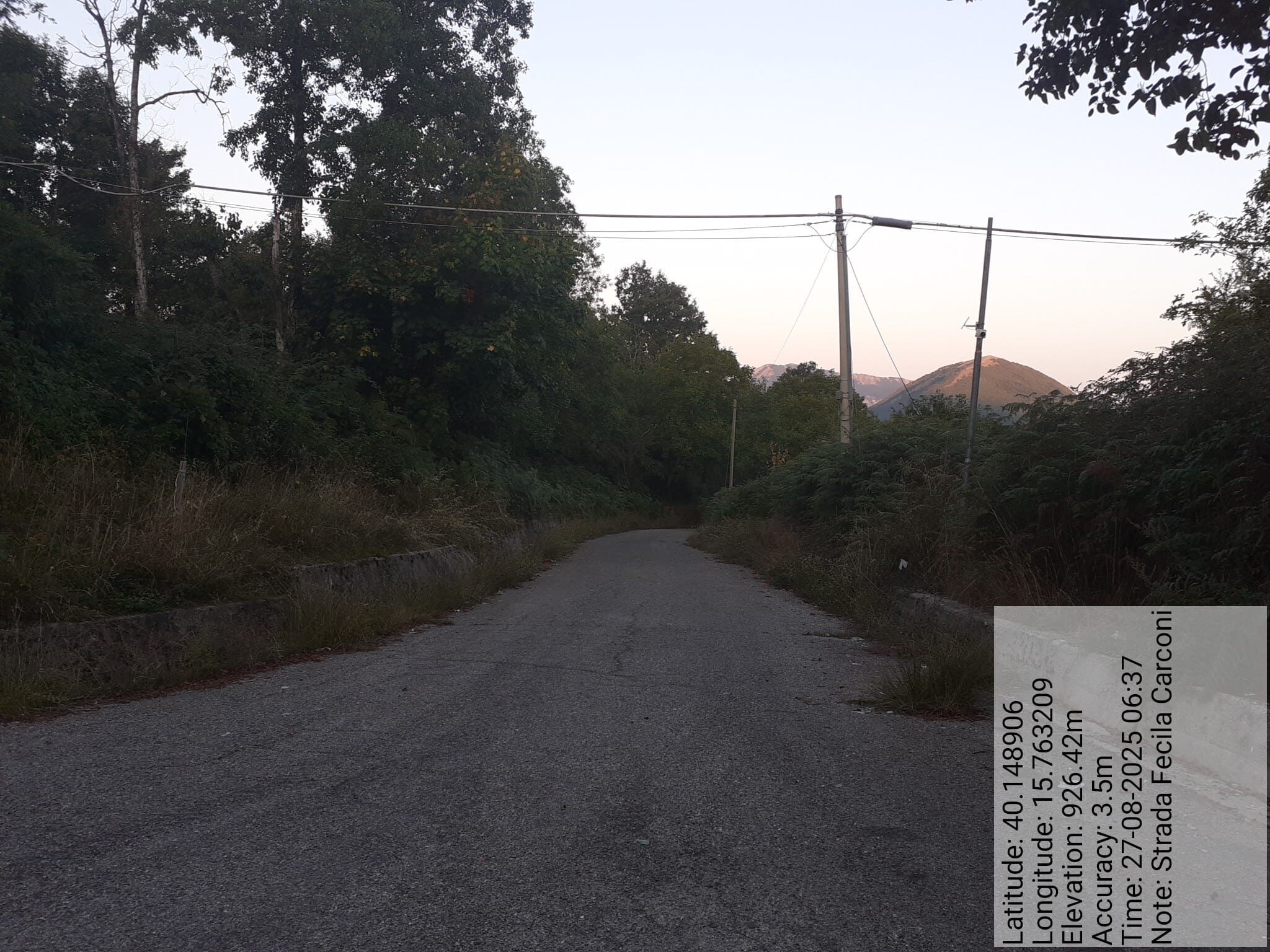 Galleria Fotografica Immagine