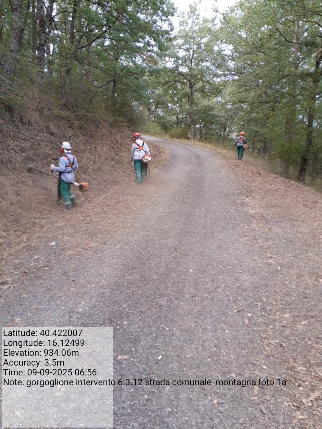 Galleria Fotografica Immagine