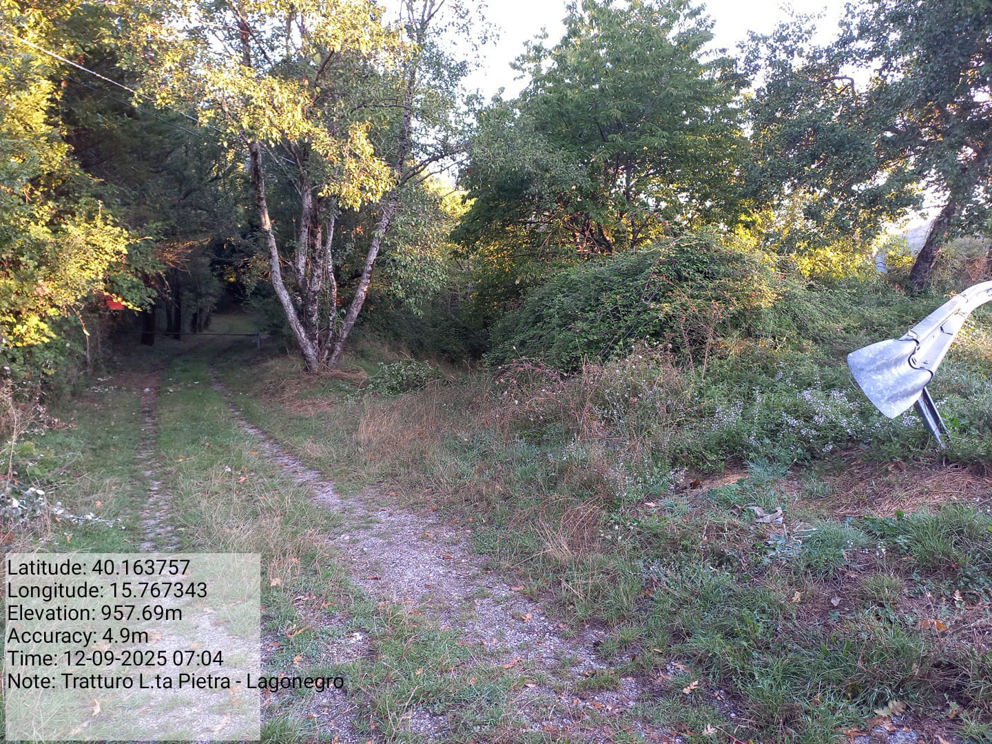 Galleria Fotografica Immagine