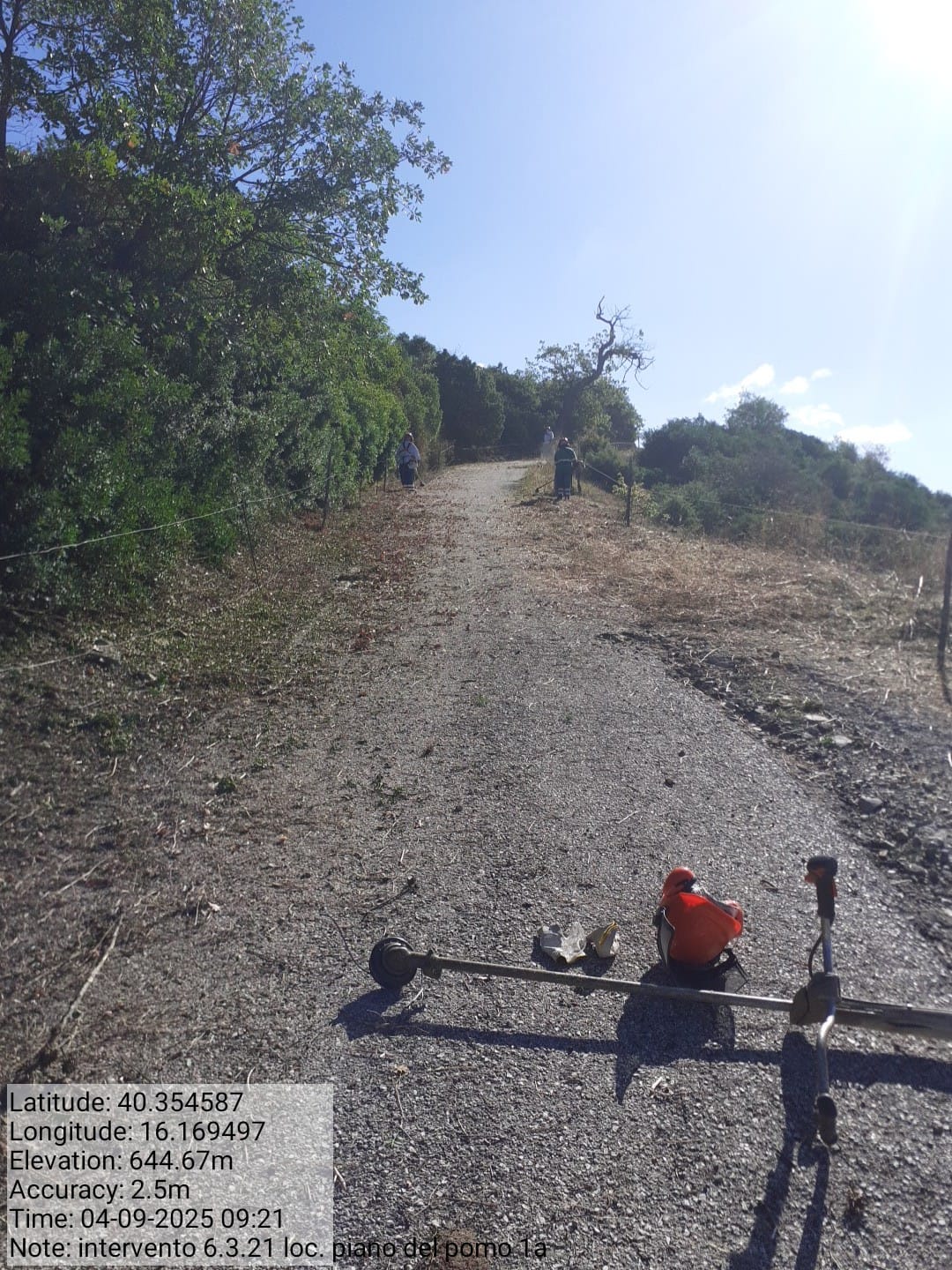 Galleria Fotografica Immagine