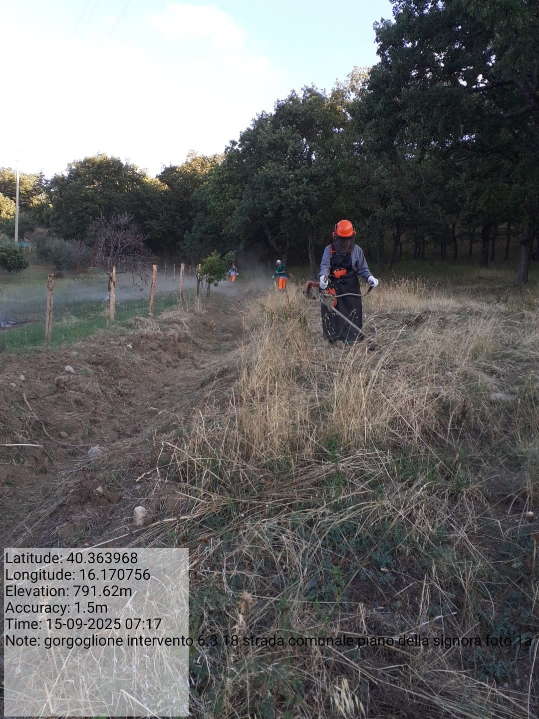 Galleria Fotografica Immagine