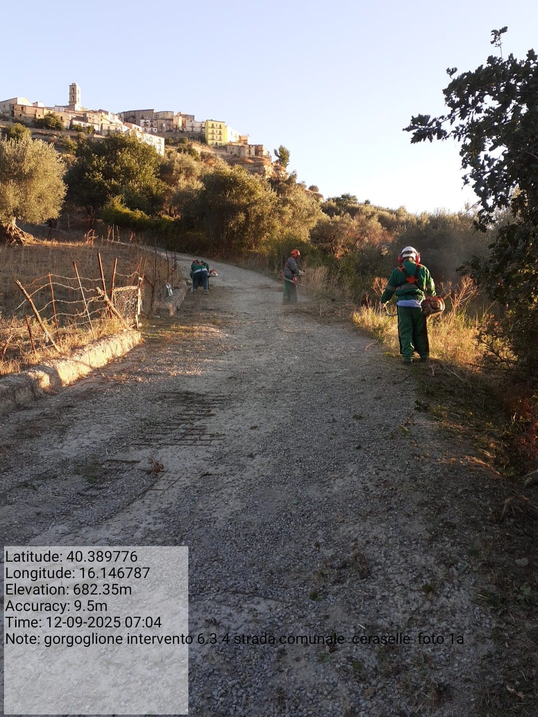 Galleria Fotografica Immagine