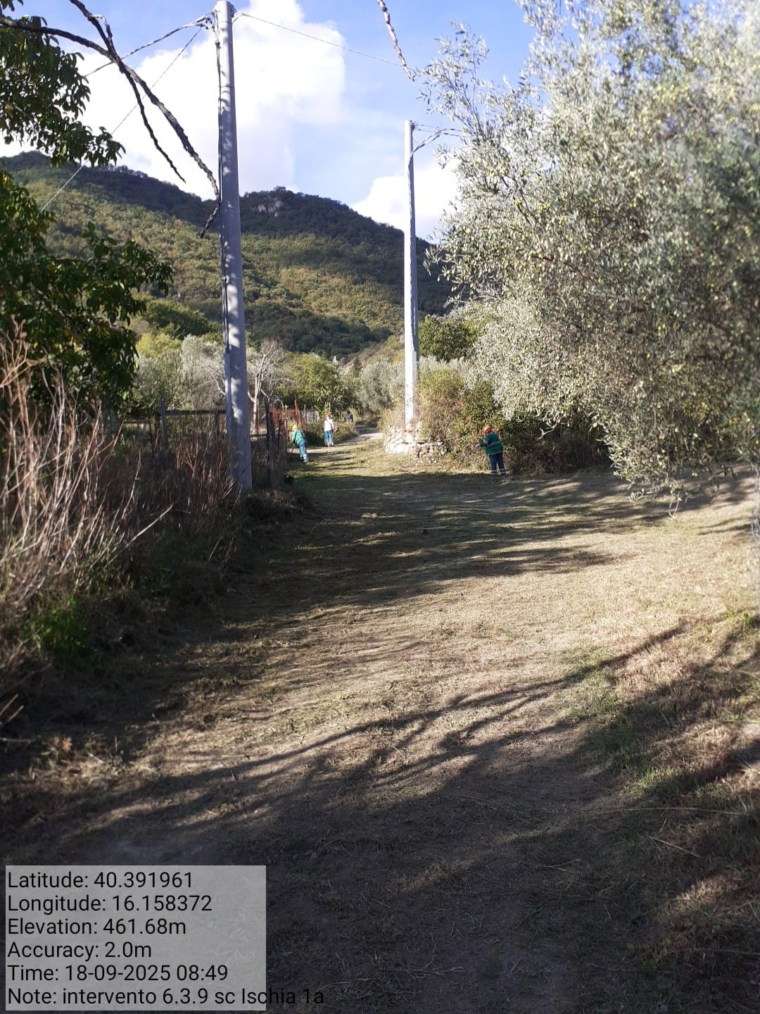 Galleria Fotografica Immagine