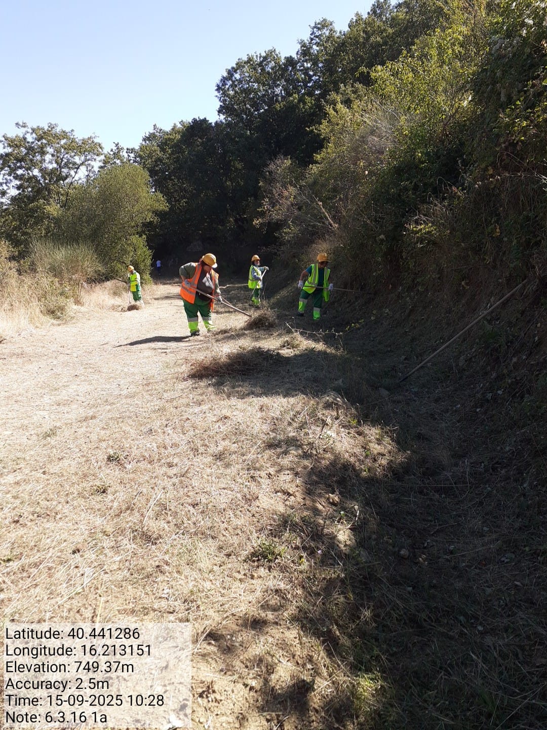 Galleria Fotografica Immagine