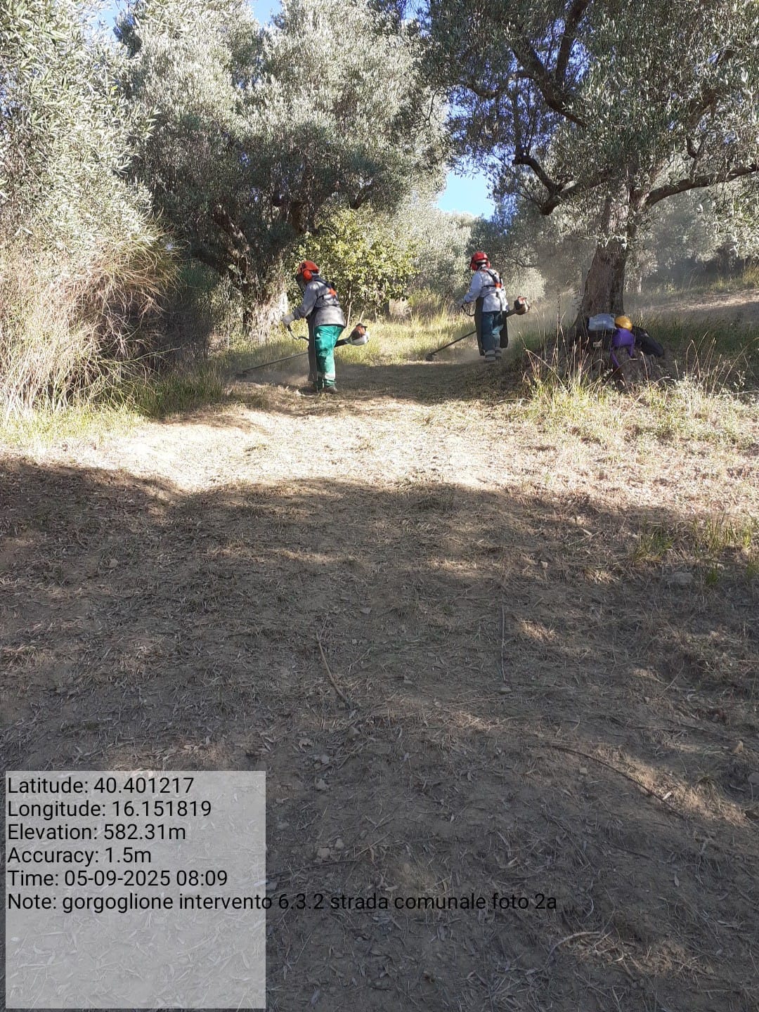 Galleria Fotografica Immagine