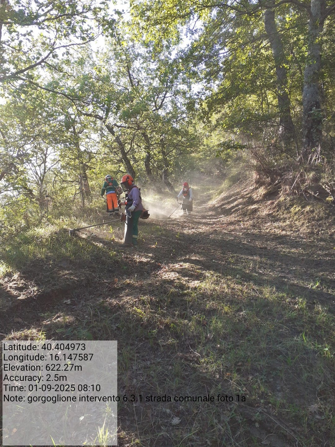 Galleria Fotografica Immagine