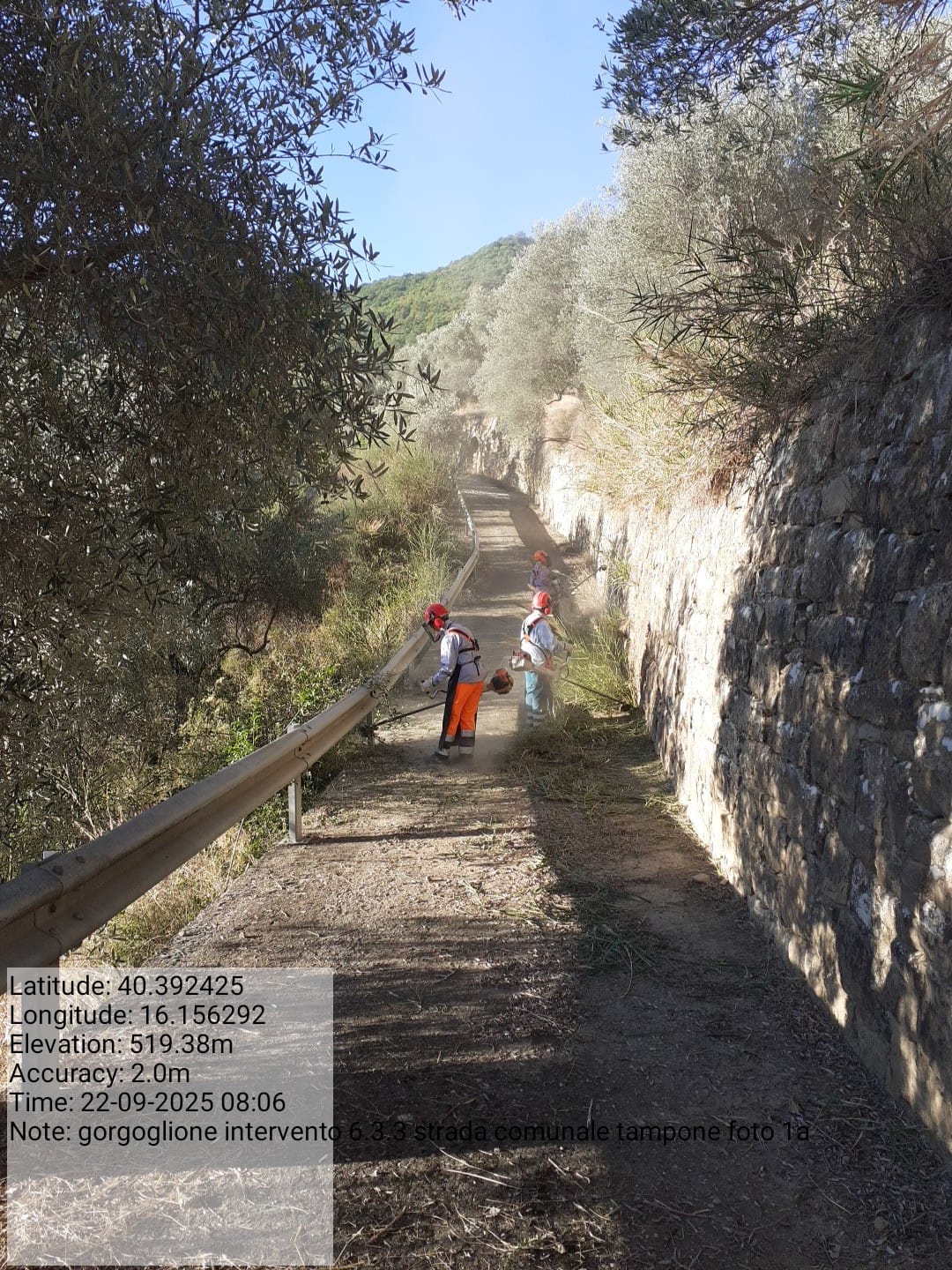 Galleria Fotografica Immagine