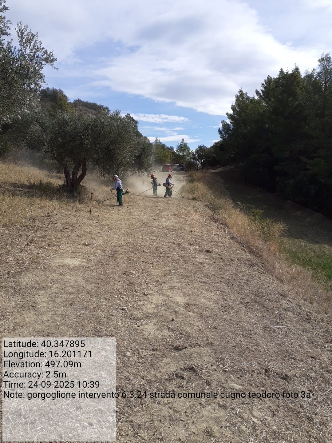 Galleria Fotografica Immagine