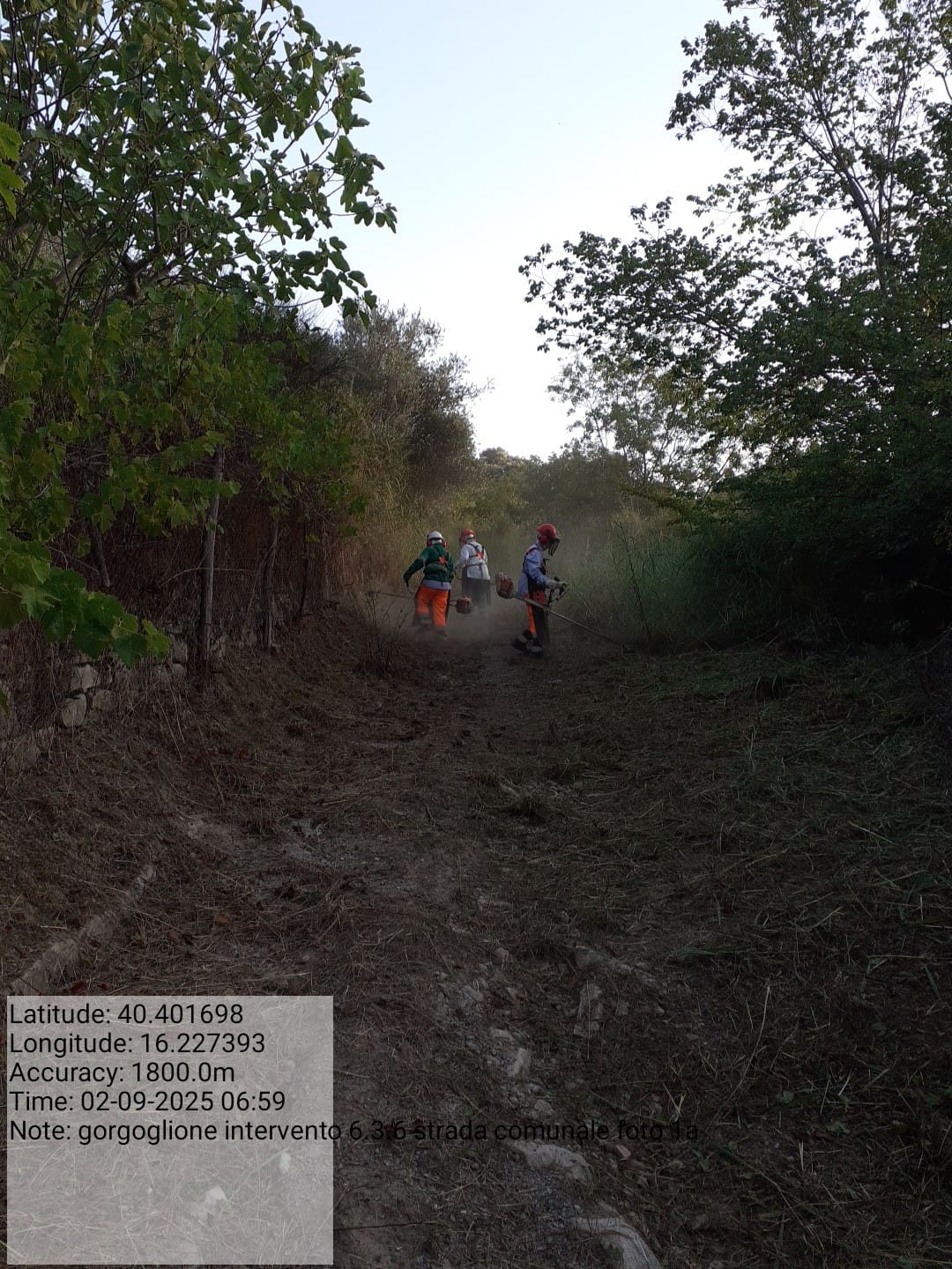 Galleria Fotografica Immagine