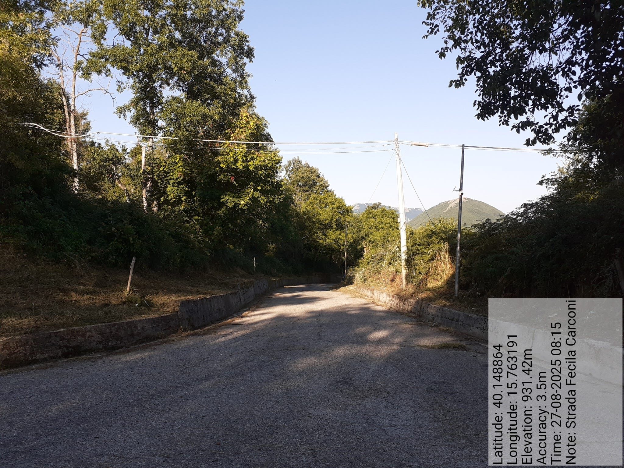 Galleria Fotografica Immagine