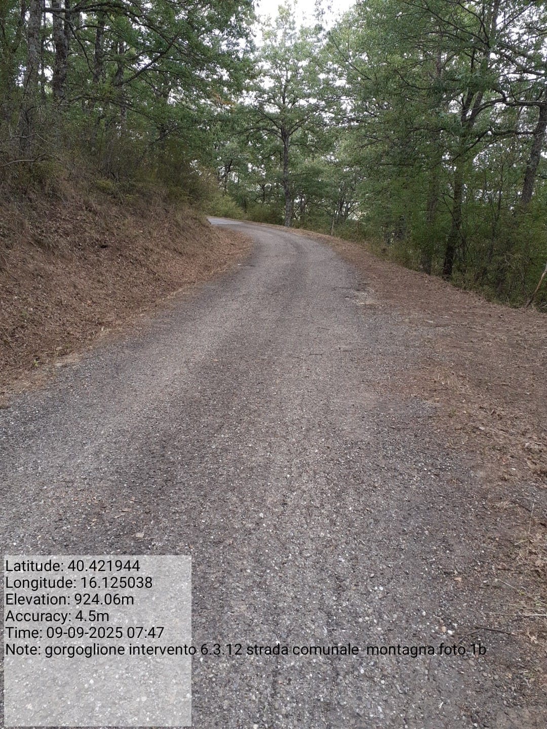 Galleria Fotografica Immagine