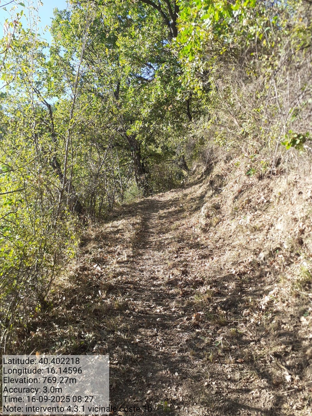 Galleria Fotografica Immagine