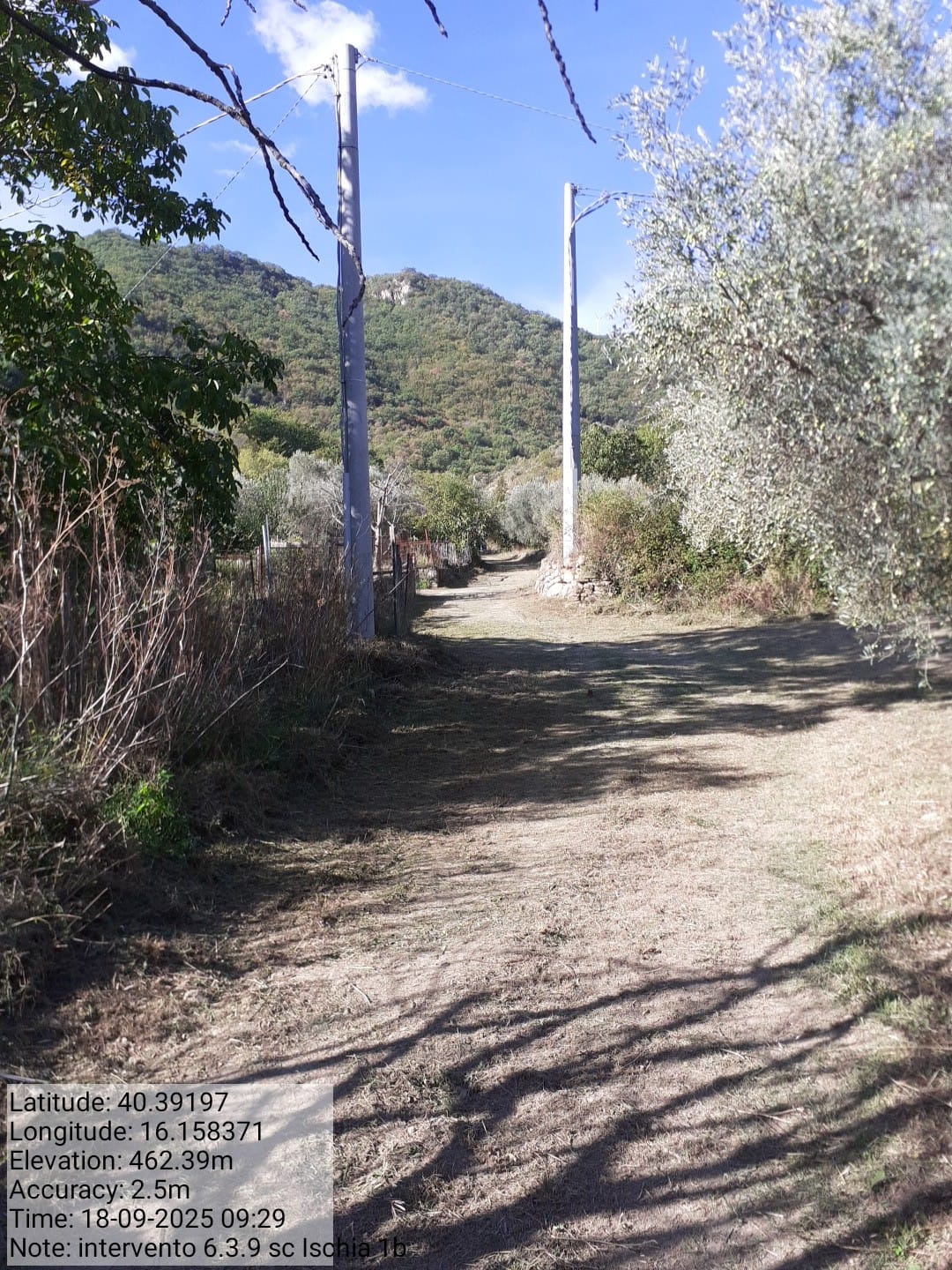 Galleria Fotografica Immagine