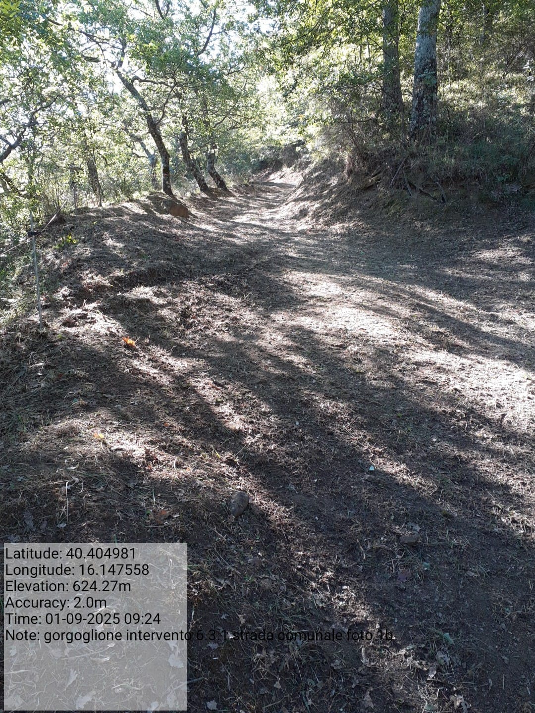 Galleria Fotografica Immagine