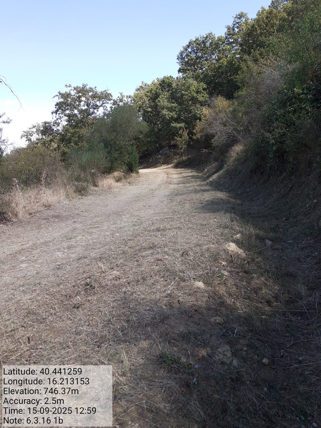 Galleria Fotografica Immagine