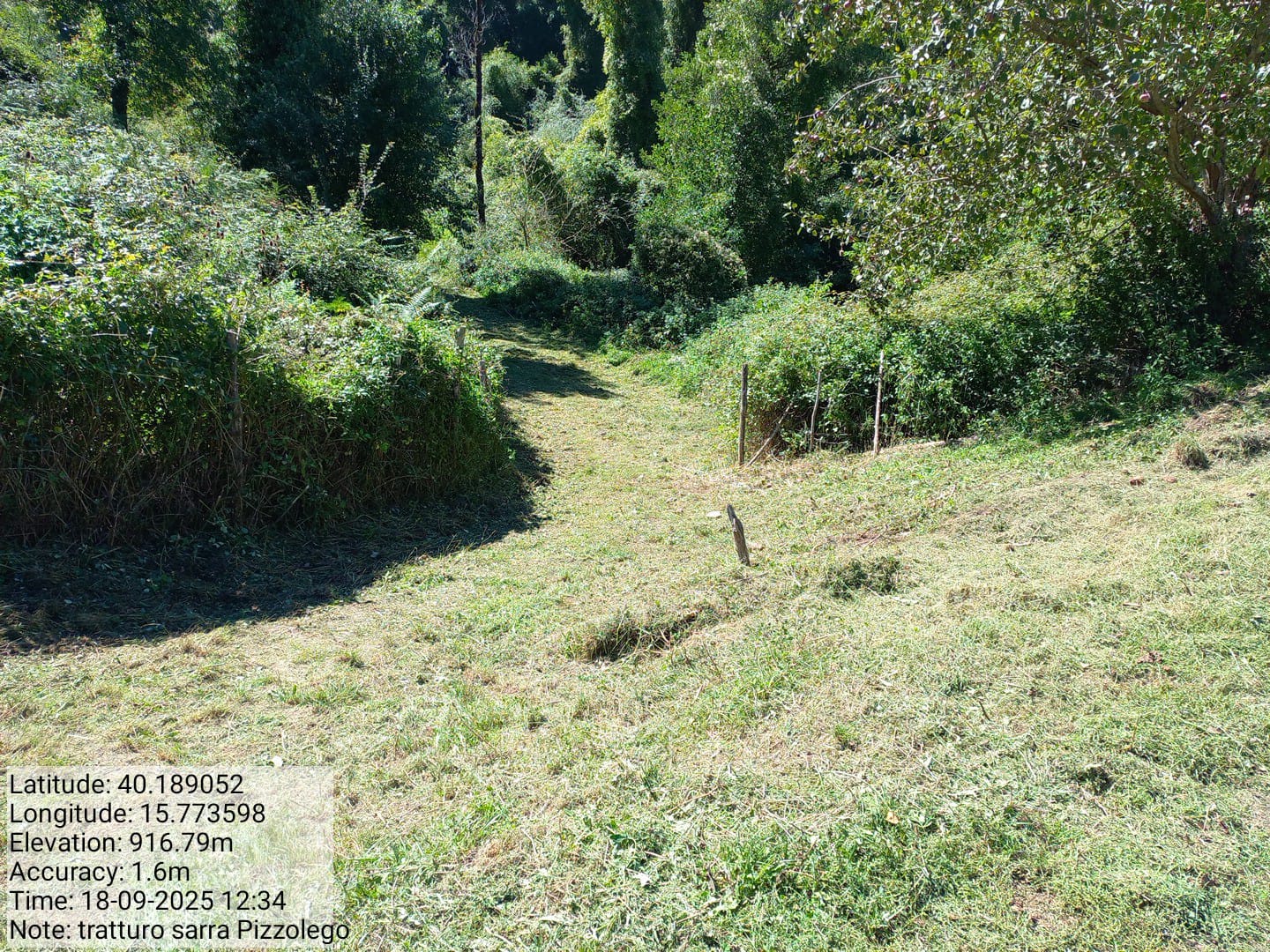 Galleria Fotografica Immagine