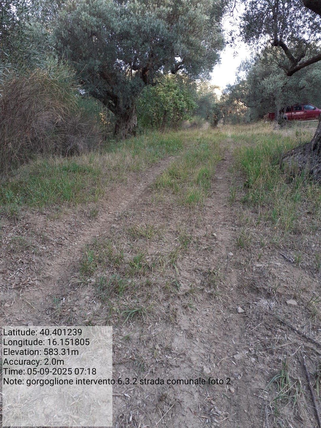 Galleria Fotografica Immagine