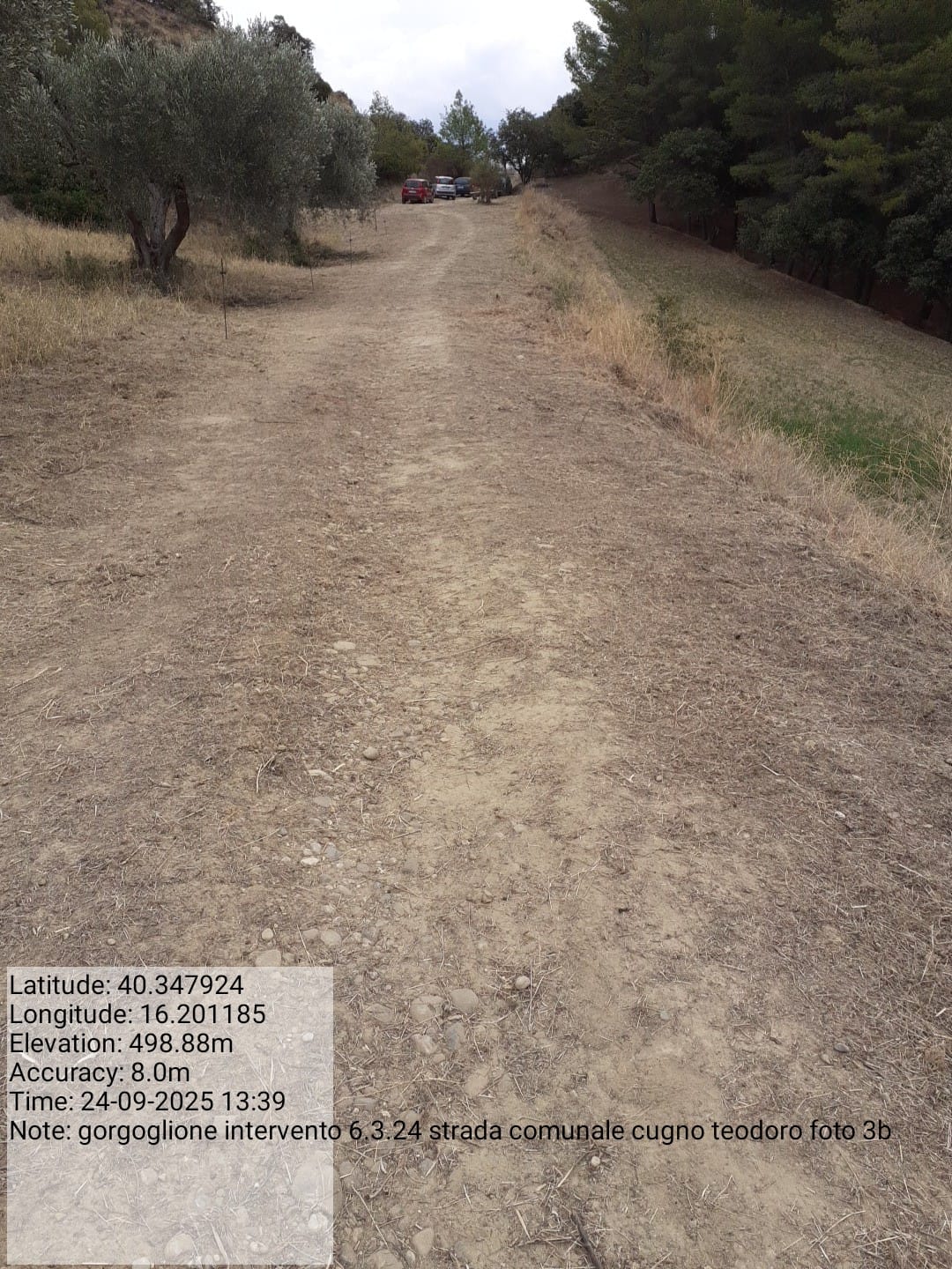 Galleria Fotografica Immagine