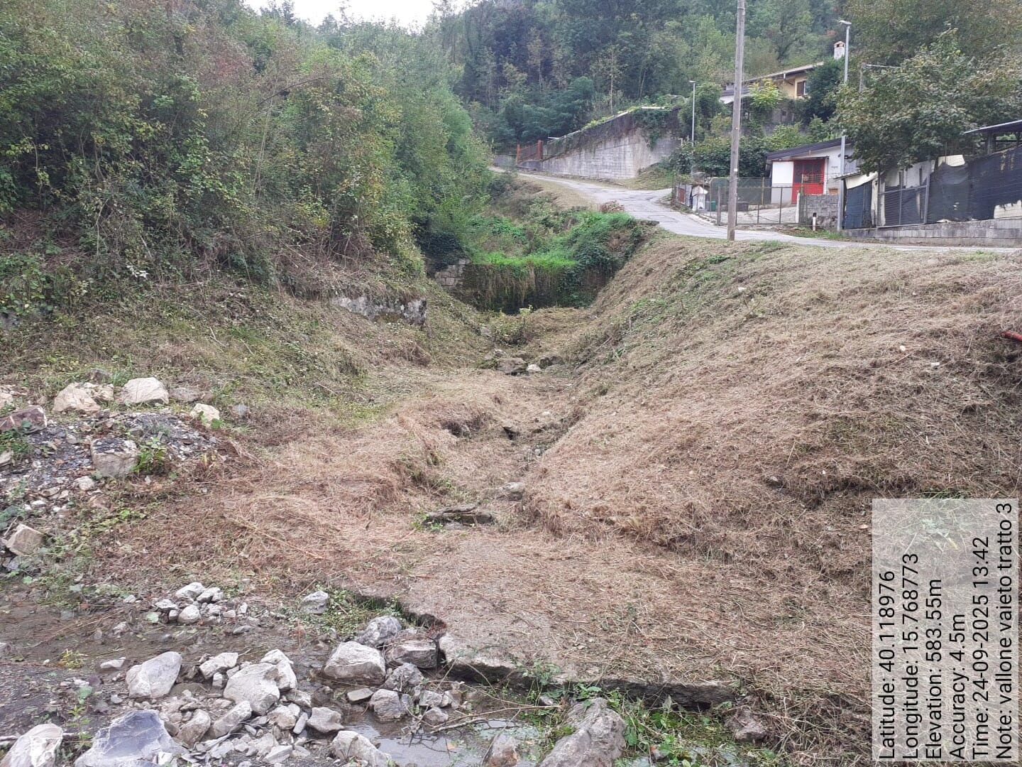 Galleria Fotografica Immagine