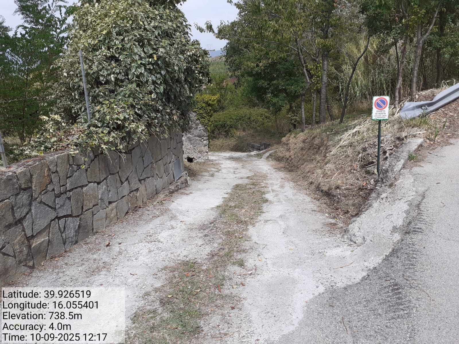 Galleria Fotografica Immagine