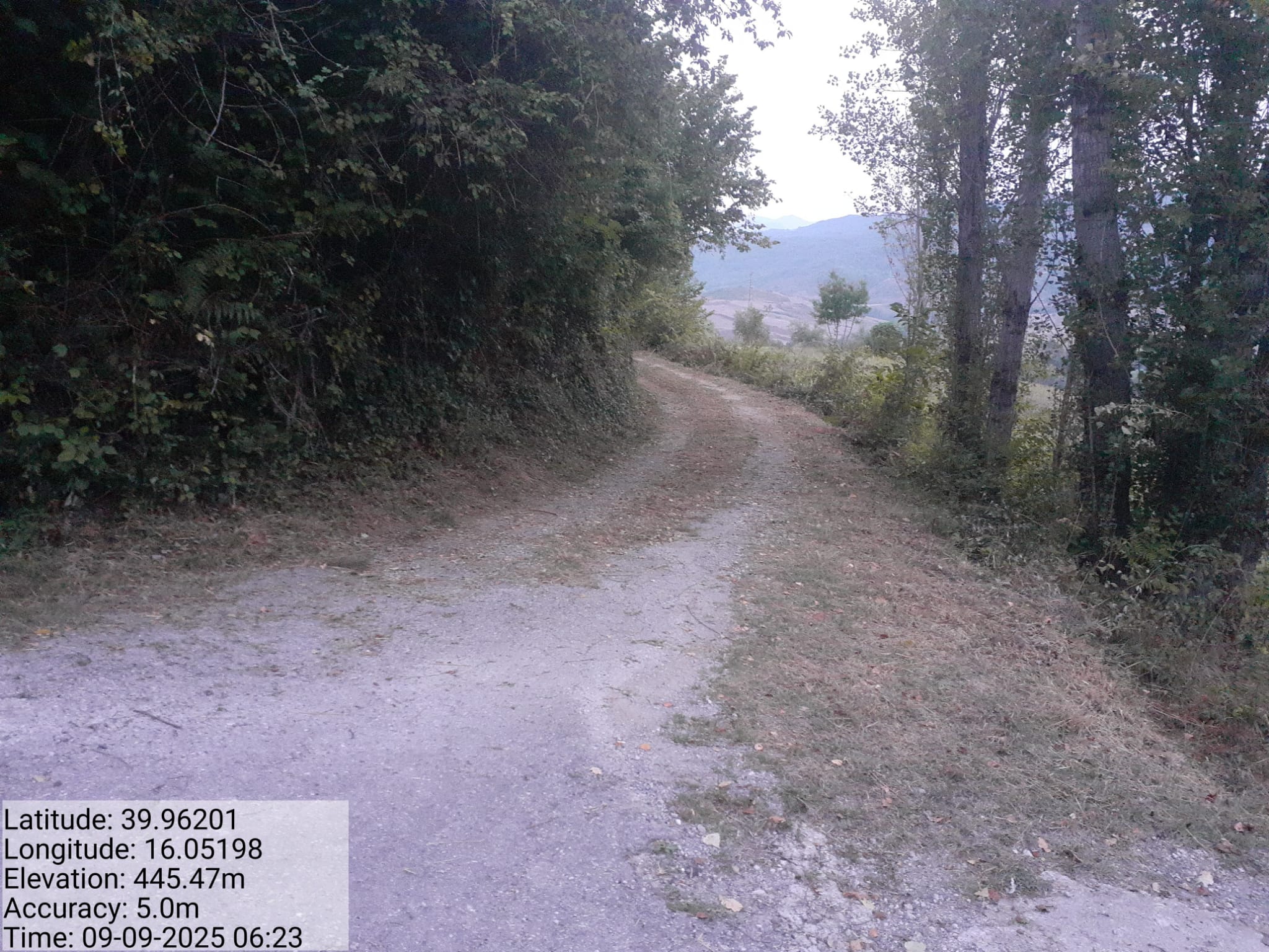 Galleria Fotografica Immagine