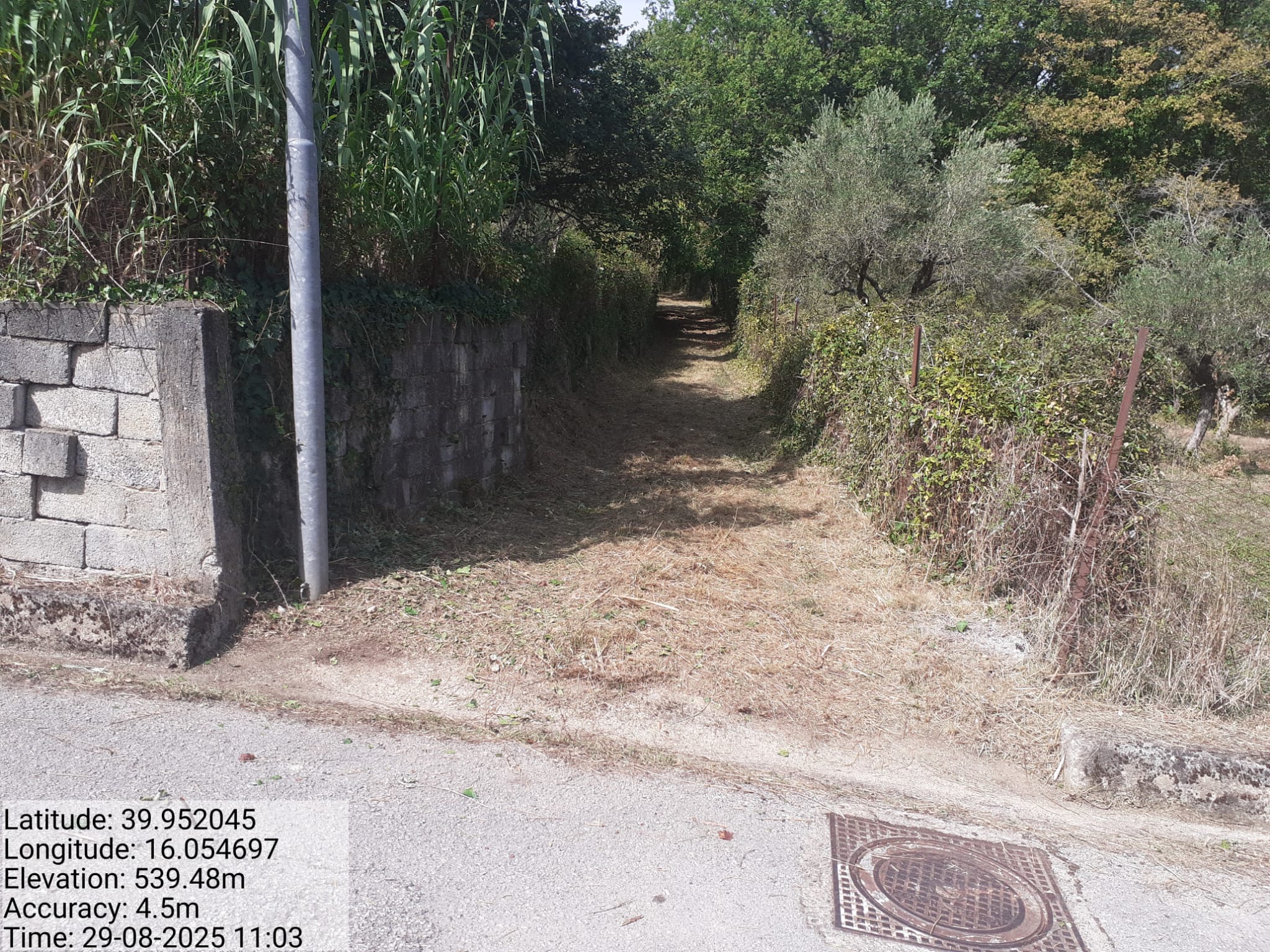 Galleria Fotografica Immagine