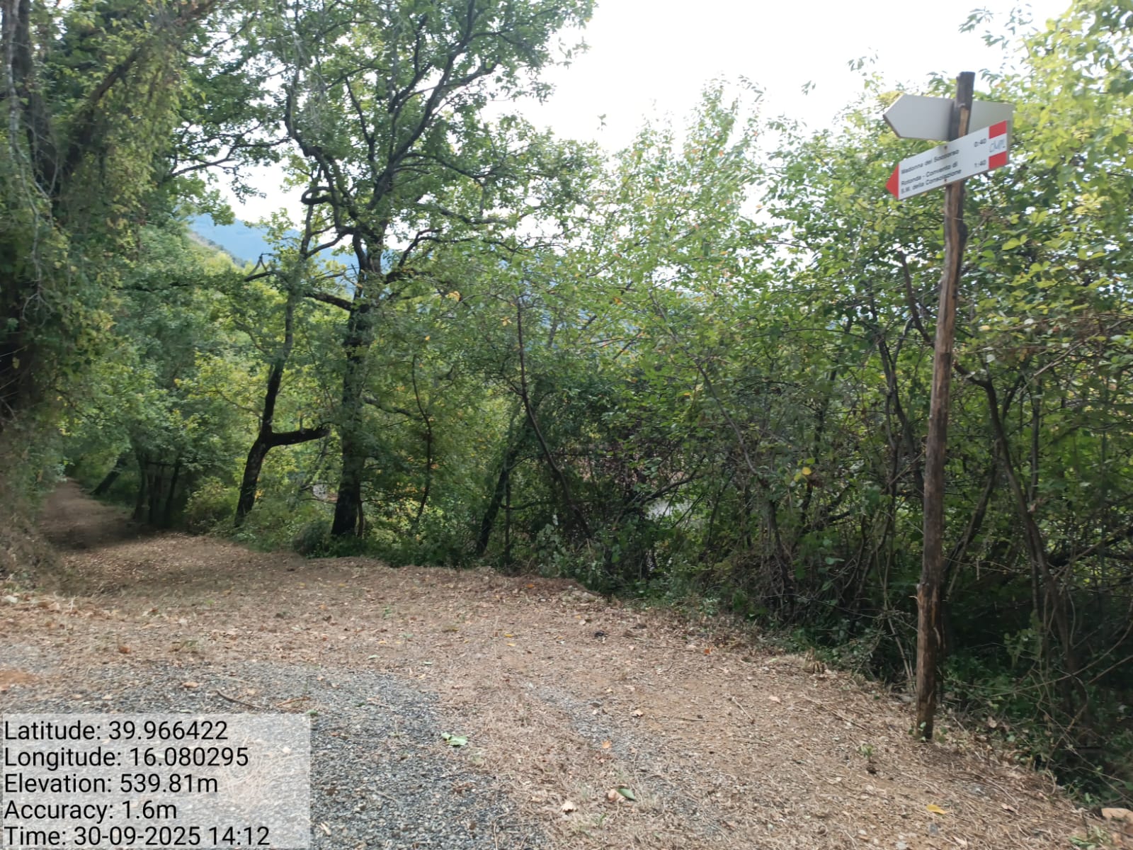 Galleria Fotografica Immagine