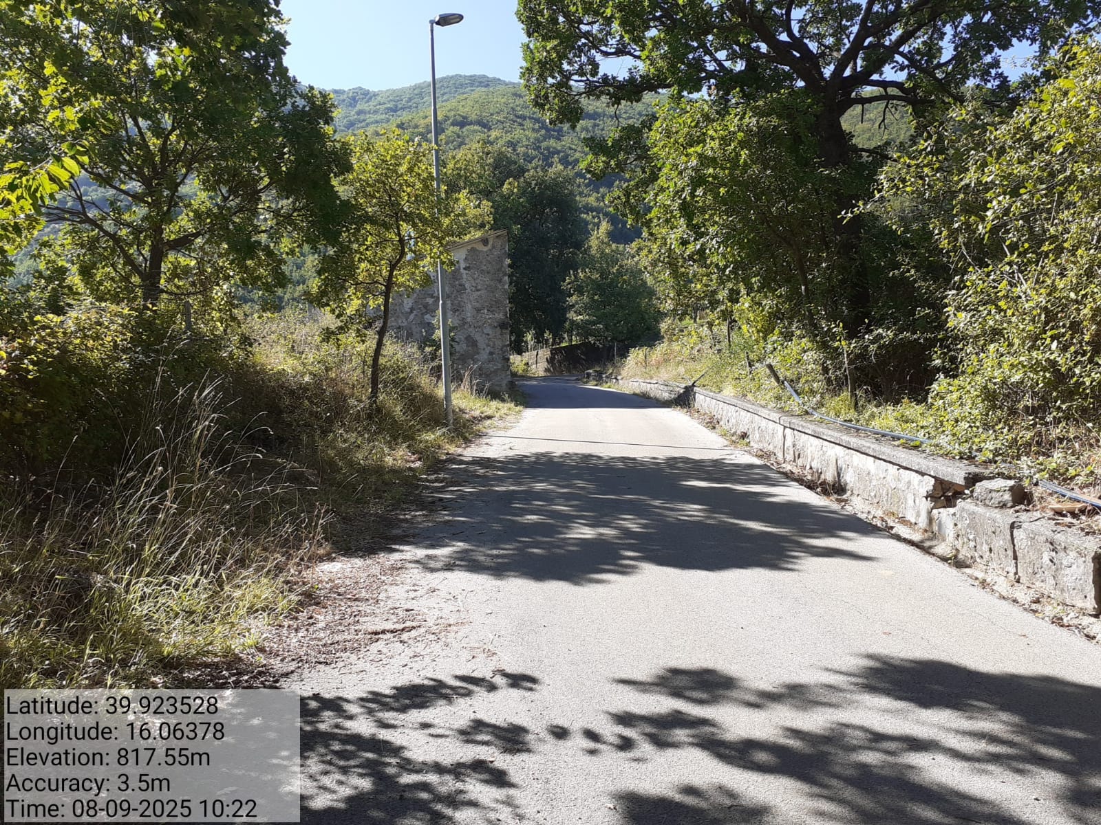 Galleria Fotografica Immagine