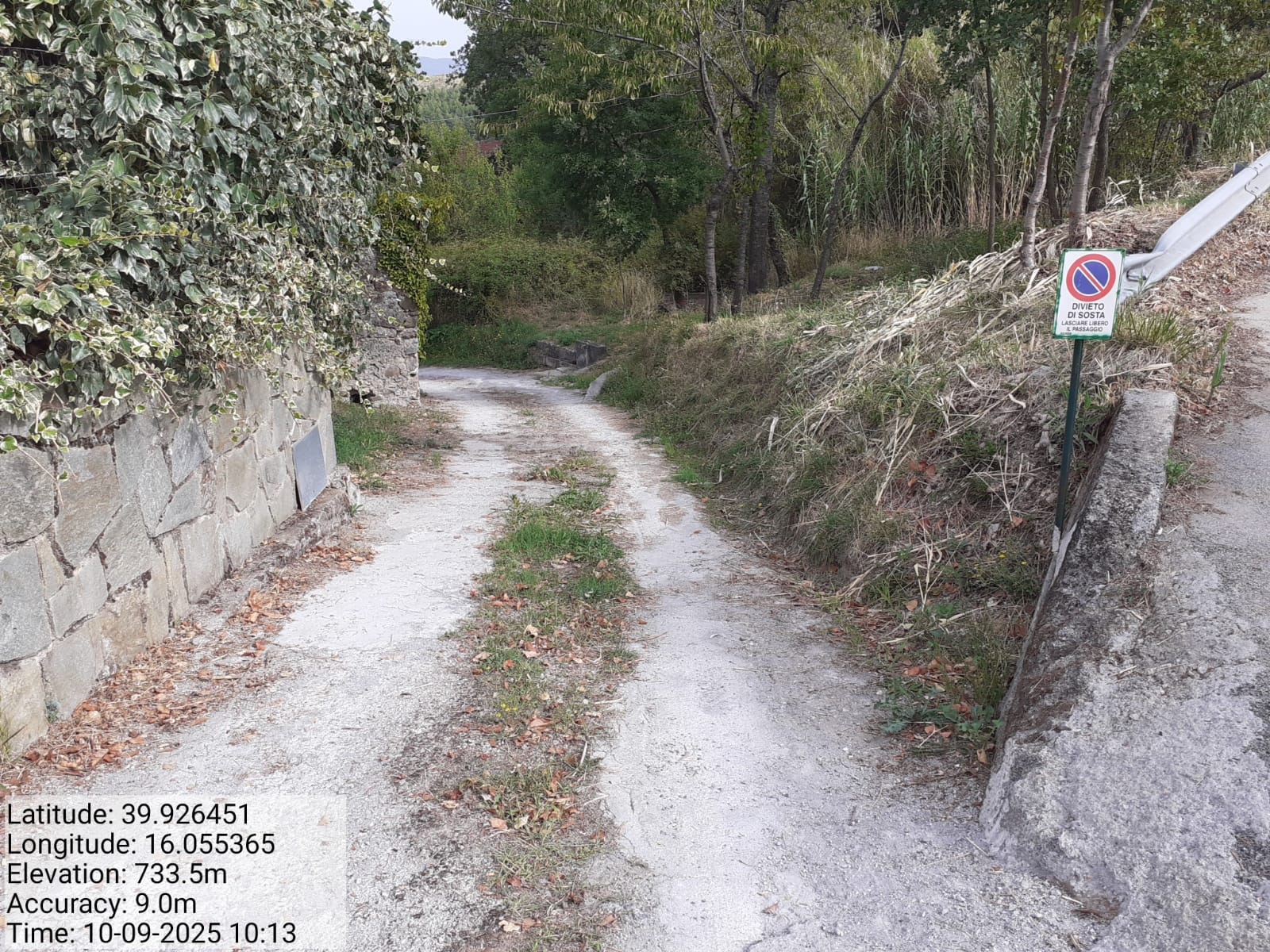 Galleria Fotografica Immagine